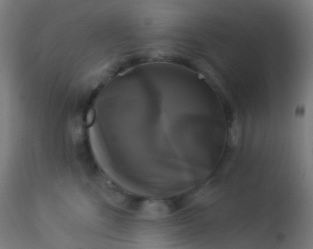 X0000114180520200910221716