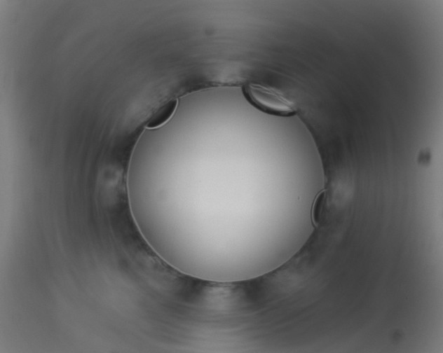 X0000114180521200910221716