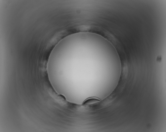 X0000114180525200910221716