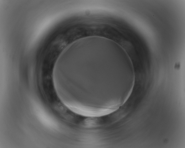 X0000114180526200910221716