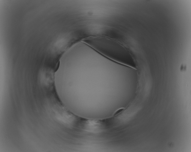 X0000114180528200910221716