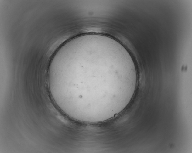 X0000114180529200910221715