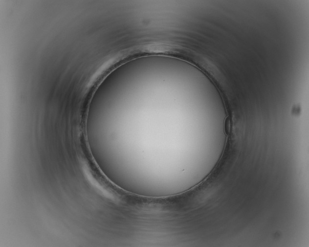 X0000114180530200910221715