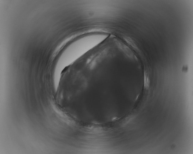 X0000114180531200910221715