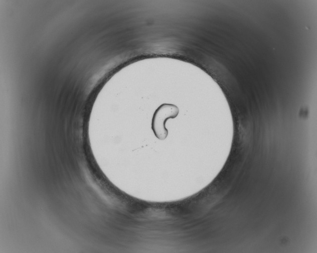 X0000114180534200910221715