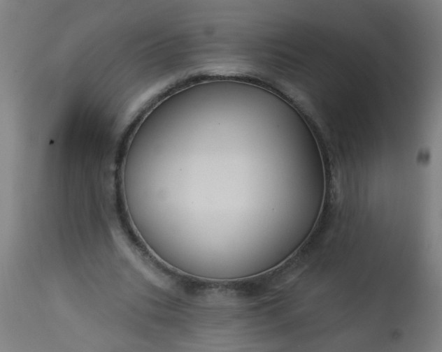 X0000114180535200910221715