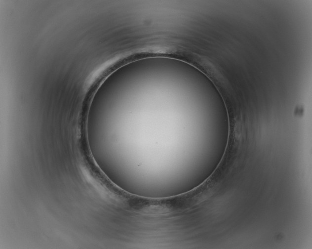 X0000114180536200910221715