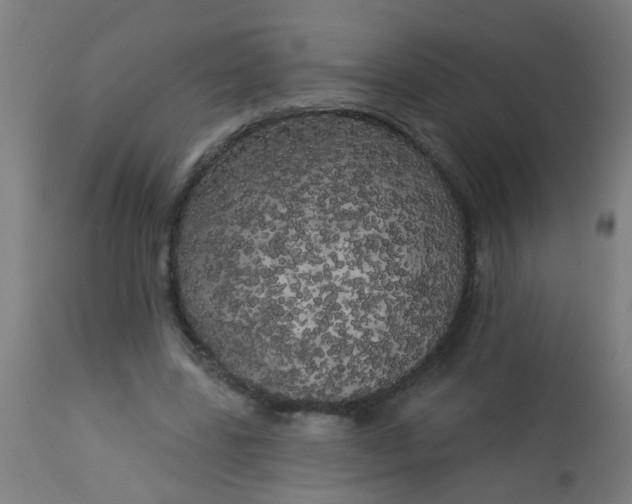 X0000114180539200910221715