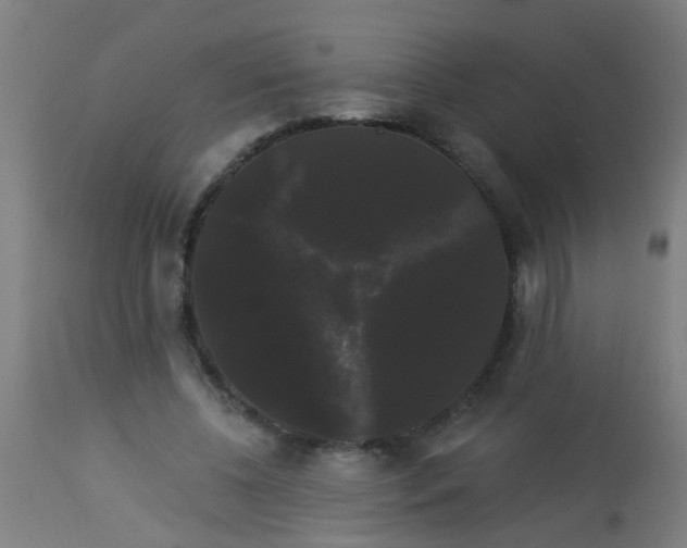 X0000114180540200910221715