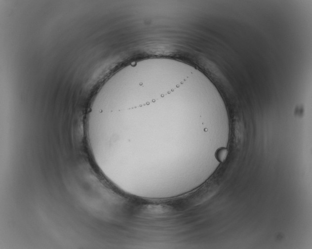 X0000114180541200910221715