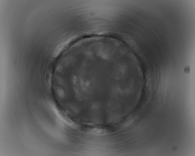 X0000114180542200910221715