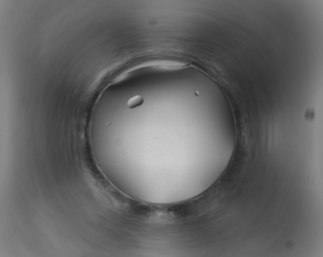 X0000114180543200910221715