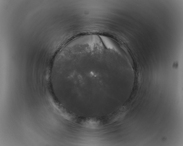 X0000114180546200910221715