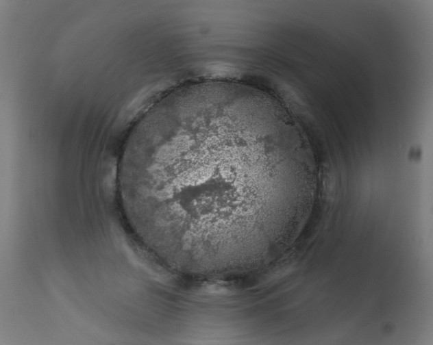 X0000114180550200910221716