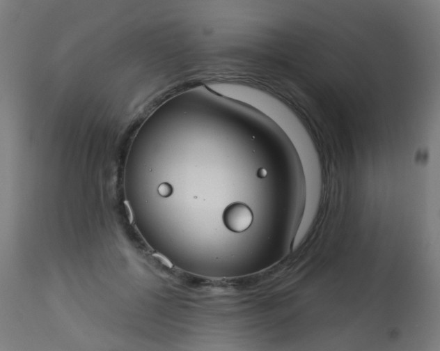 X0000114180552200910221716