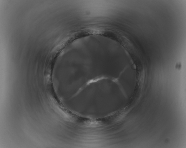 X0000114180553200910221716