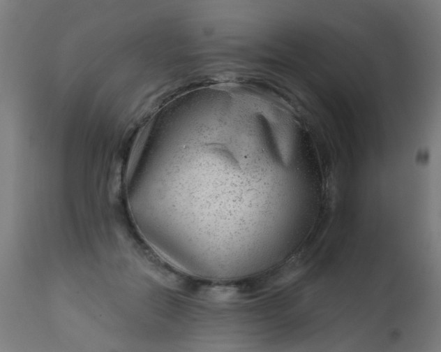 X0000114180554200910221716