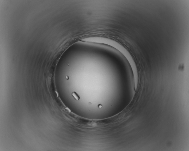 X0000114180558200910221716