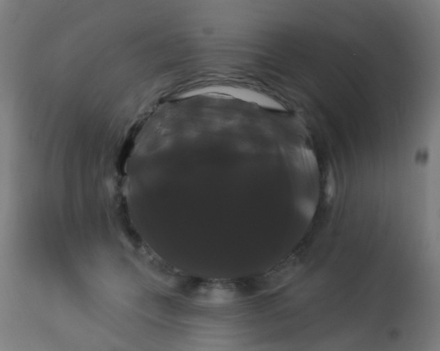 X0000114180559200910221716