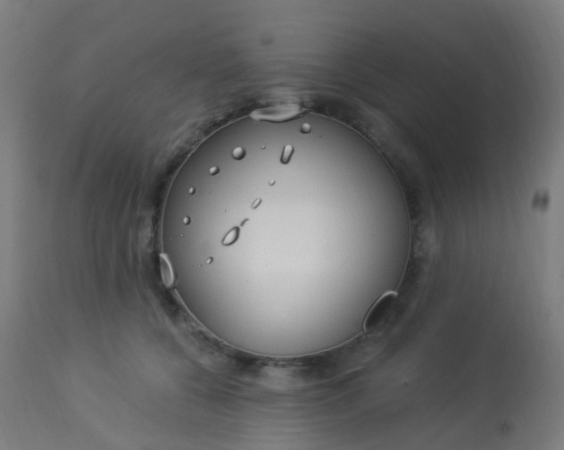 X0000114180560200910221716