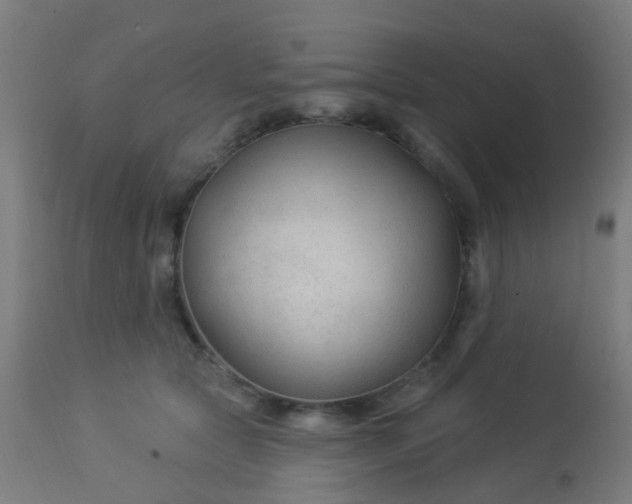 X0000114180561200910221716