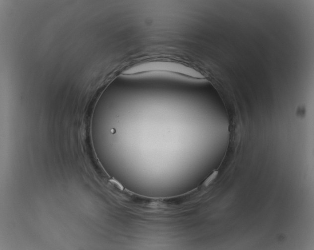 X0000114180562200910221716