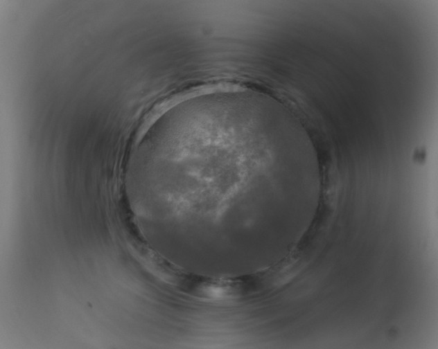 X0000114180563200910221716