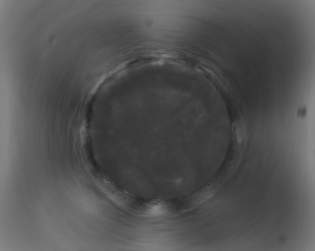 X0000114180564200910221716