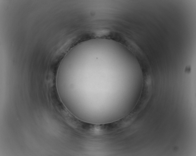 X0000114180565200910221716