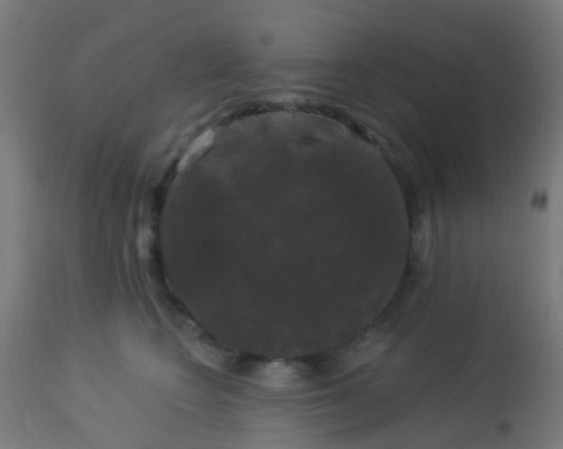 X0000114180566200910221716