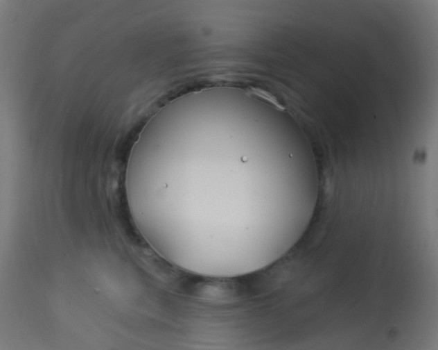 X0000114180567200910221716