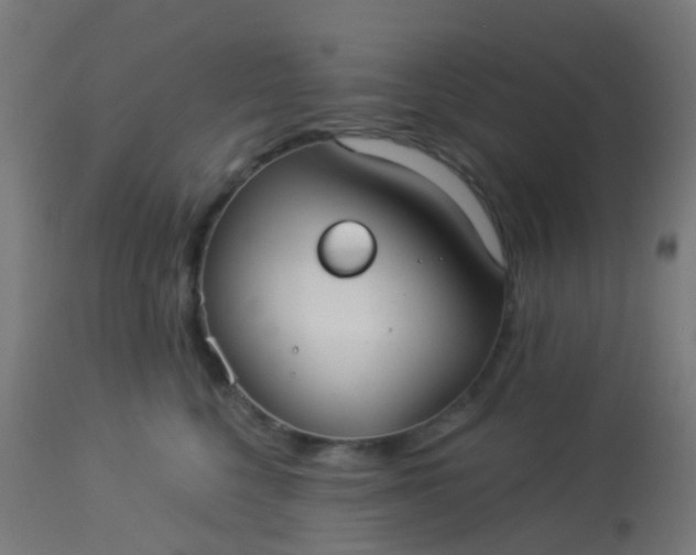 X0000114180568200910221716