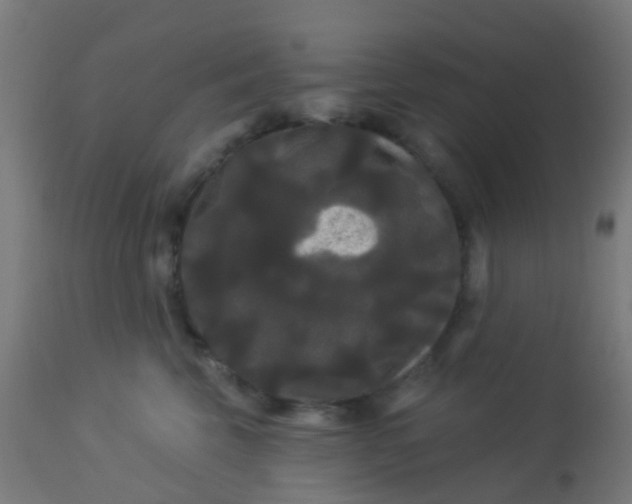 X0000114180569200910221716