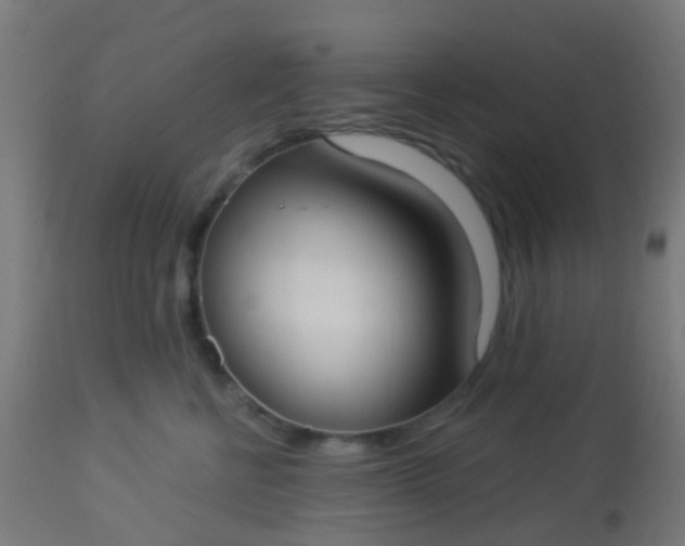 X0000114180570200910221716