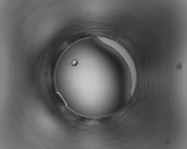 X0000114180572200910221716