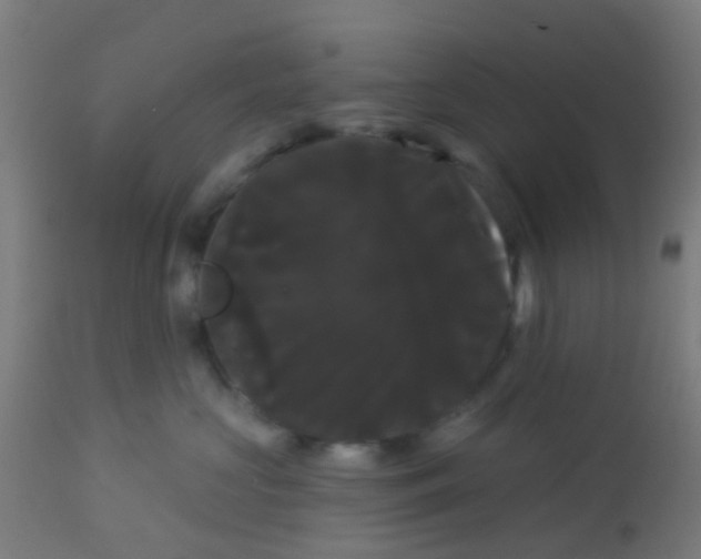 X0000114180573200910221716