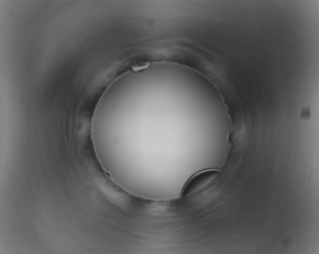 X0000114180574200910221716