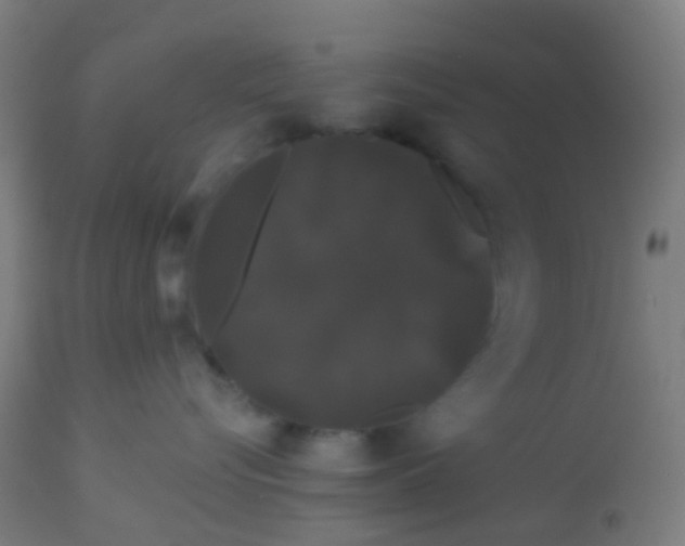 X0000114180576200910221716