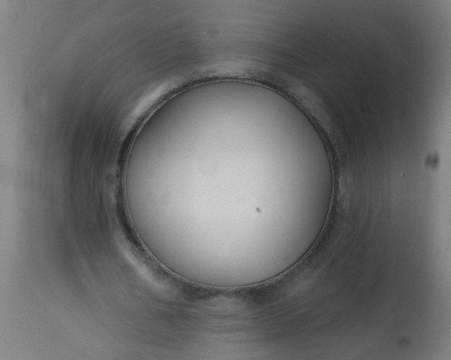 X0000114180578200910221715