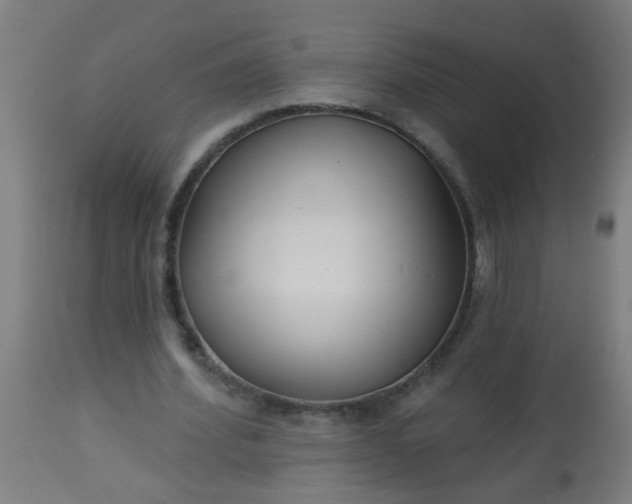 X0000114180580200910221715