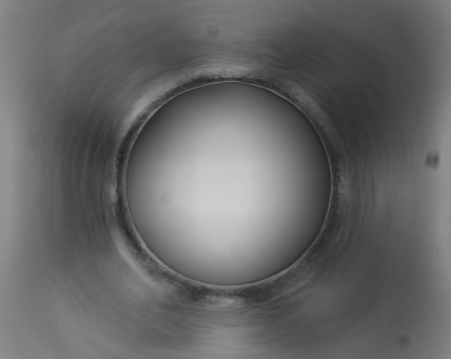 X0000114180582200910221715