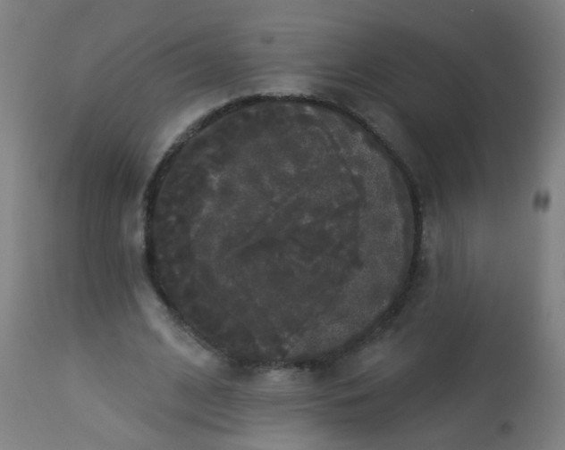 X0000114180584200910221715