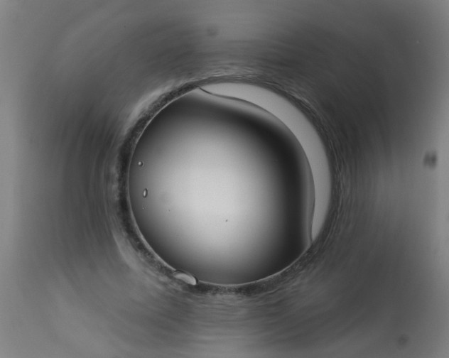 X0000114180587200910221715