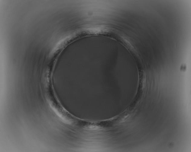 X0000114180590200910221715