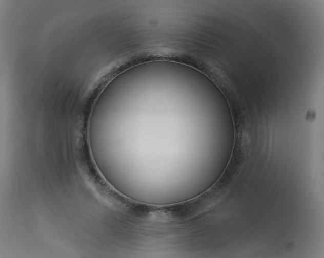 X0000114180591200910221715