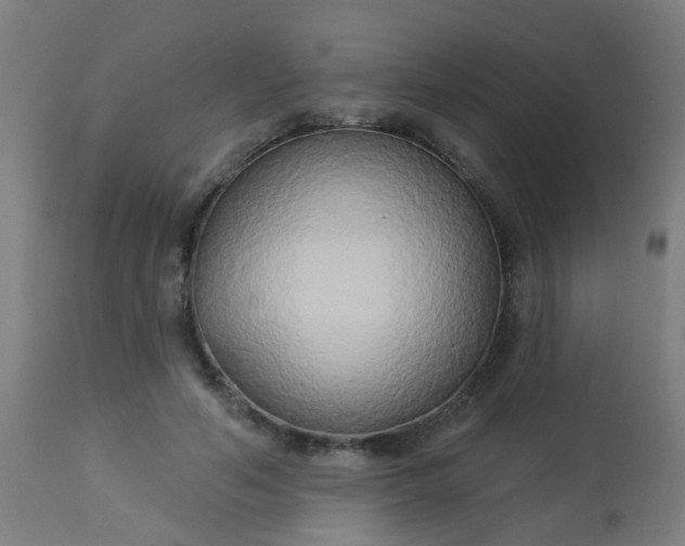 X0000114180594200910221715