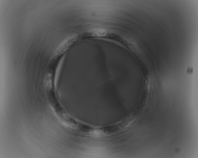 X0000114180598200910221715