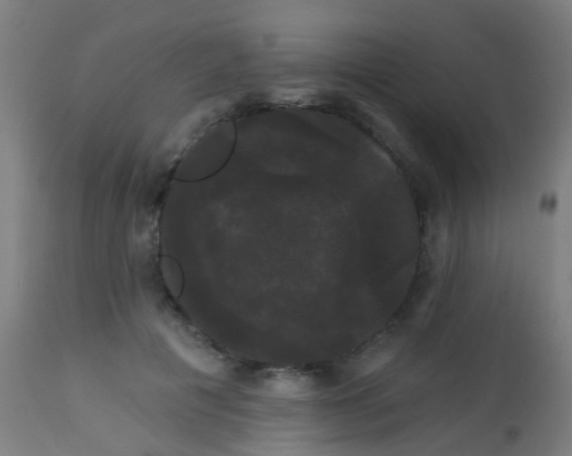 X0000114180601200910221715