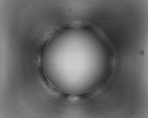 X0000114180602200910221715