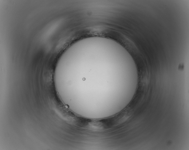 X0000114180603200910221715